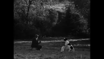 Zasłona do filmu "Bovine Comedy" #412932