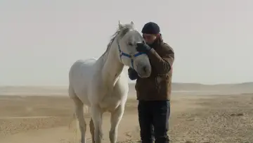 Zasłona do filmu "Zabić mongolskiego konia" #914808