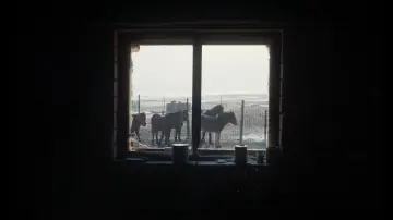 Zasłona do filmu "Zabić mongolskiego konia" #914812