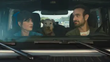 Zasłona do filmu "Merv" #578368
