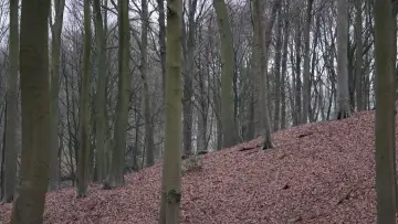 Zasłona do filmu "#17 - To Finish The Barkley Marathons" #418397