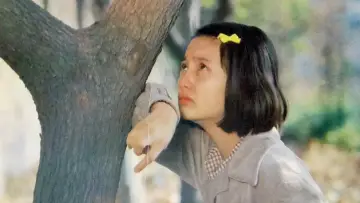 Zasłona do filmu "少男少女们" #1537278