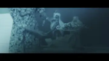 Zasłona do filmu "أوروبا" #415682