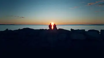 Zasłona do filmu "Jutro o świcie" #532377