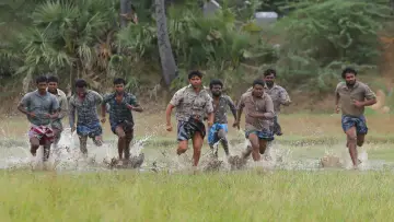 Zasłona do filmu "பைசன் காளமாடன்" #786330
