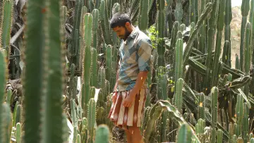Zasłona do filmu "பைசன் காளமாடன்" #786342