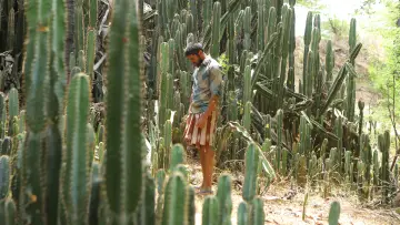 Zasłona do filmu "பைசன் காளமாடன்" #786343
