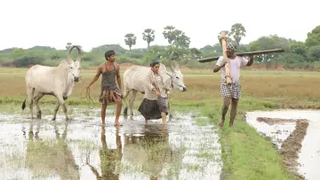 Zasłona do filmu "பைசன் காளமாடன்" #786354