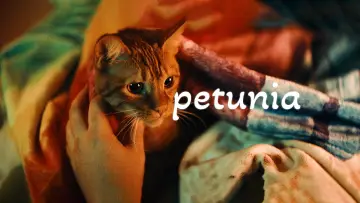 Zasłona do filmu "Petunia" #883290