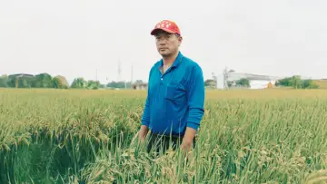 Zasłona do filmu "擱淺" #820419