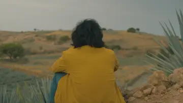Zasłona do filmu "Agaves al alba" #468591