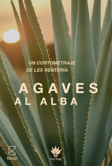 Plakat do filmu "Agaves al alba" #468595