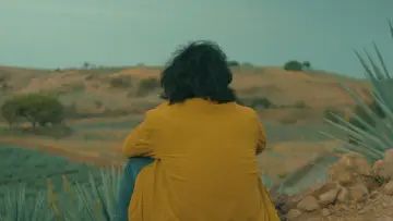 Zasłona do filmu "Agaves al alba" #477741