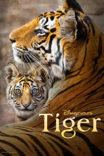 Plakat do filmu "Tygrys" #739248