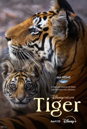 Plakat do filmu "Tygrys" #739249