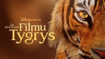 Zasłona do filmu "Za kulisami filmu "Tygrys"" #1077546