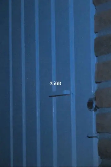 256B