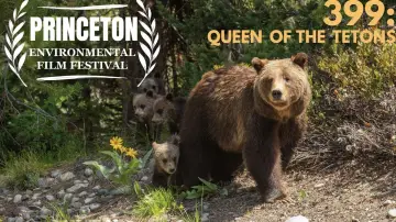 Zasłona do filmu "399: Queen of the Tetons" #469703