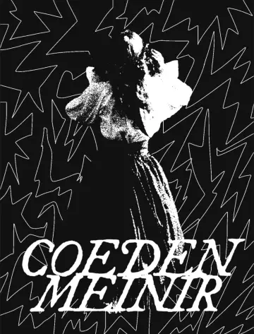 Plakat do filmu "Coeden Meinir" #470359