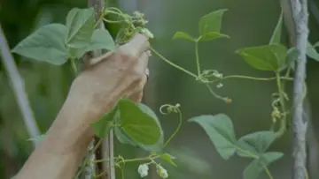 Zasłona do filmu "Krutxalteatik Uronarat" #1074031