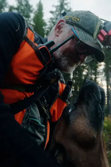 Chien de sang