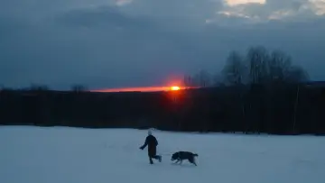 Zasłona do filmu "Sirius" #431192
