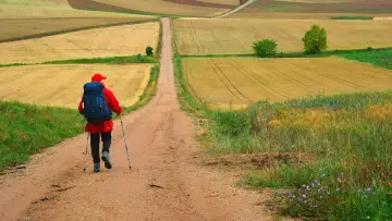 Zasłona do filmu "The Way, My Way" #1092778