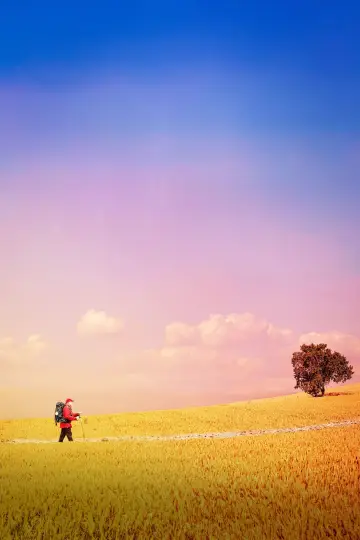 The Way, My Way