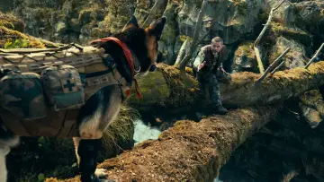 Zasłona do filmu "W sercu dziczy" #1798653