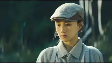 Zasłona do filmu "天地正气" #454155