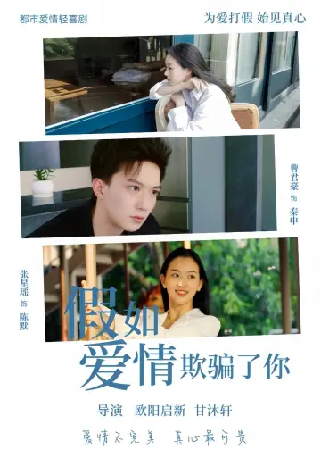 Plakat do filmu "假如爱情欺骗了你" #430606