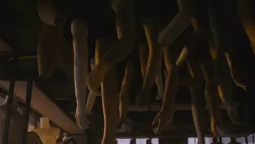Zasłona do filmu "Monster Pabrik Rambut" #911359