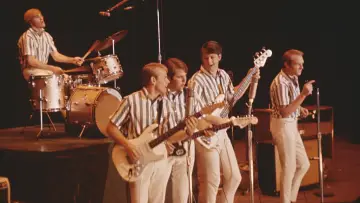 Zasłona do filmu "The Beach Boys" #472554
