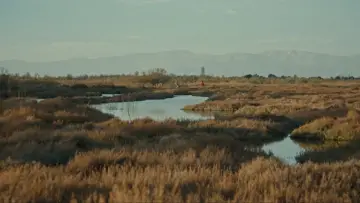 Zasłona do filmu "Solo arrojaron" #1088148