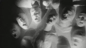 Zasłona do filmu "Transmutation" #1844195