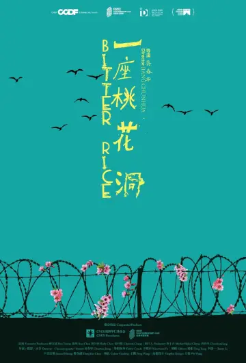 一座桃花洞