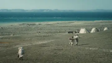 Zasłona do filmu "Uiksaringitara" #1570523