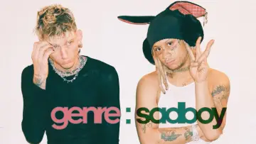 Zasłona do filmu "genre:sadboy" #1085928