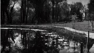 Zasłona do filmu "Gyerekkori mesék" #443935
