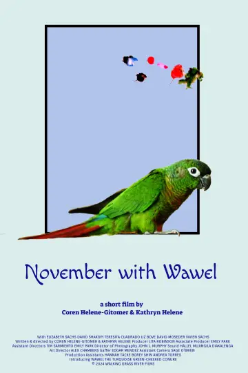 Plakat do filmu "November with Wawel" #443730