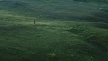 Zasłona do filmu "Linije želje" #1650435