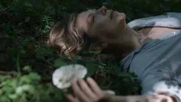 Zasłona do filmu "Linije želje" #1650437