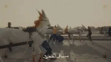 Zasłona do filmu "سباق الحمير" #1090912