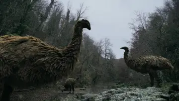 Zasłona do filmu "Le mystère des oiseaux géants" #1089218