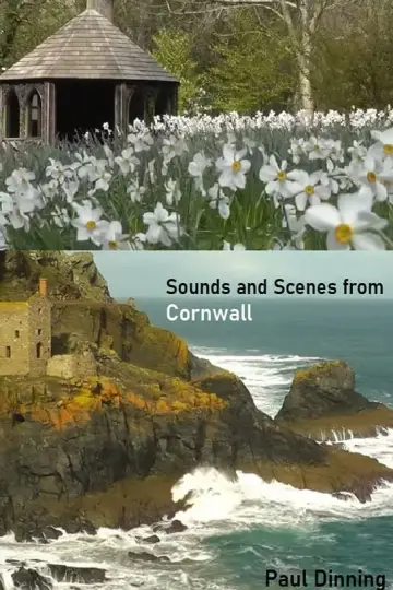 Sounds and Scenes from Cornwall plakat