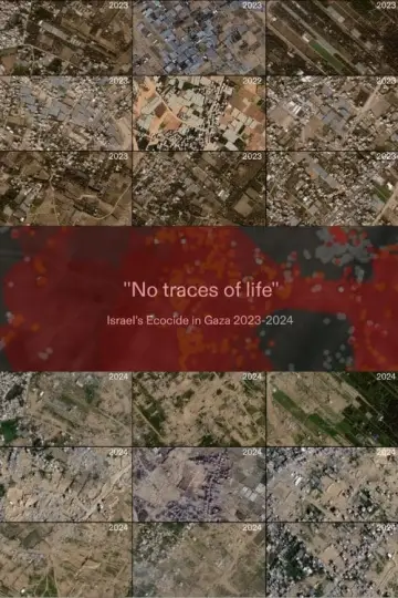 No Traces of Life