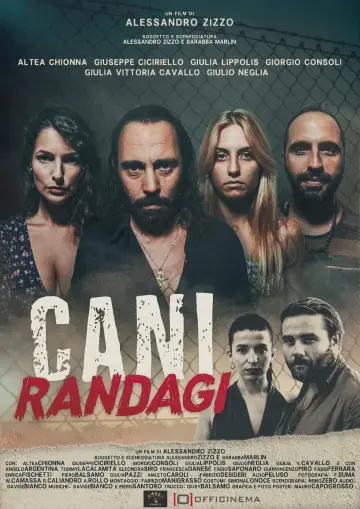 Plakat do filmu "Cani randagi" #449030