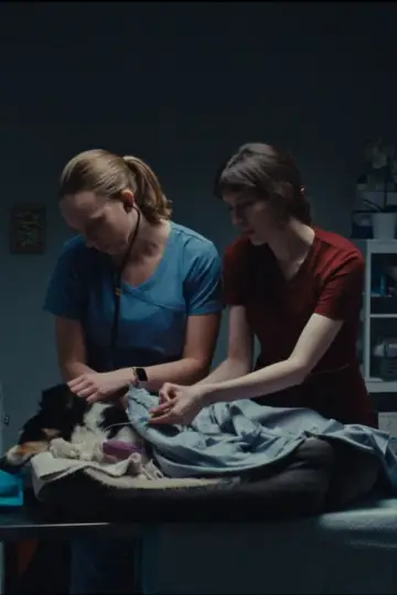 Plakat do filmu "Put To Sleep" #464293