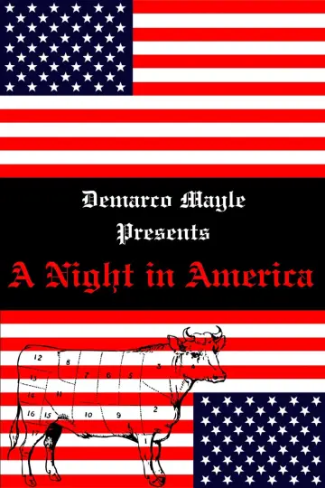 Plakat do filmu "A Night in America" #449541