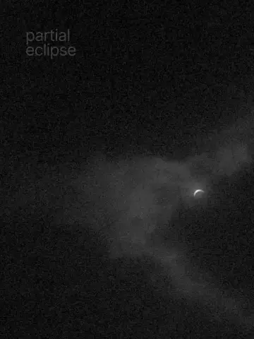 Plakat do filmu "Partial Eclipse" #449524